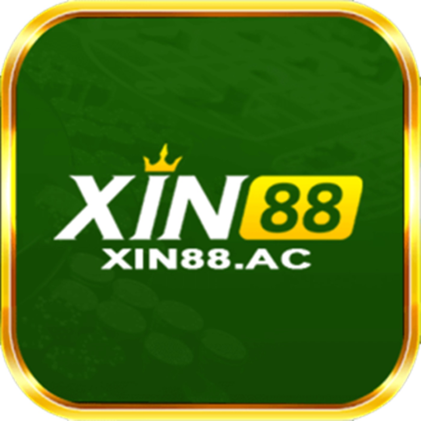 Xin88