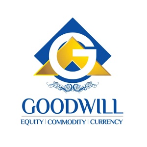 Goodwill Wealth Management Pvt Ltd (GUDUVANCHERI)