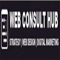 Webconsultanthub