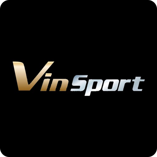 Vinsport