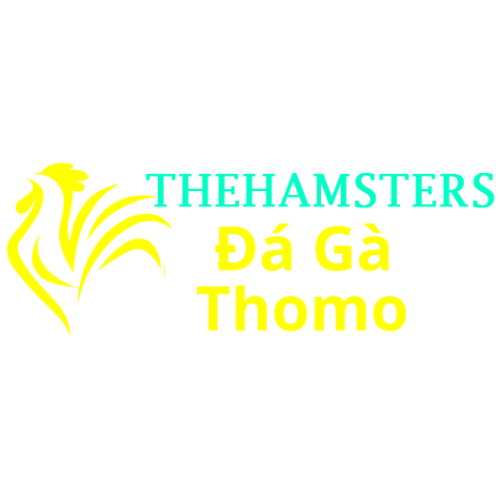 Đá Gà Trực Tiếp Thomo