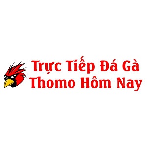 Trực Tiếp Đá Gà Thomo