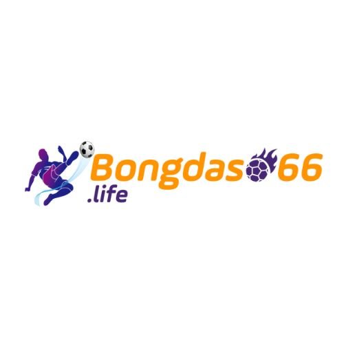 bongdaso66life