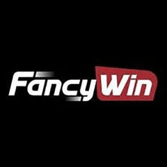 fancywintop