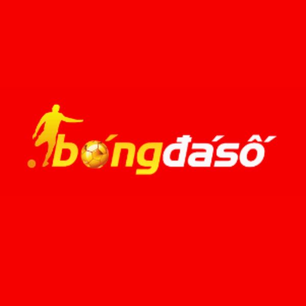 bongdasoto2024