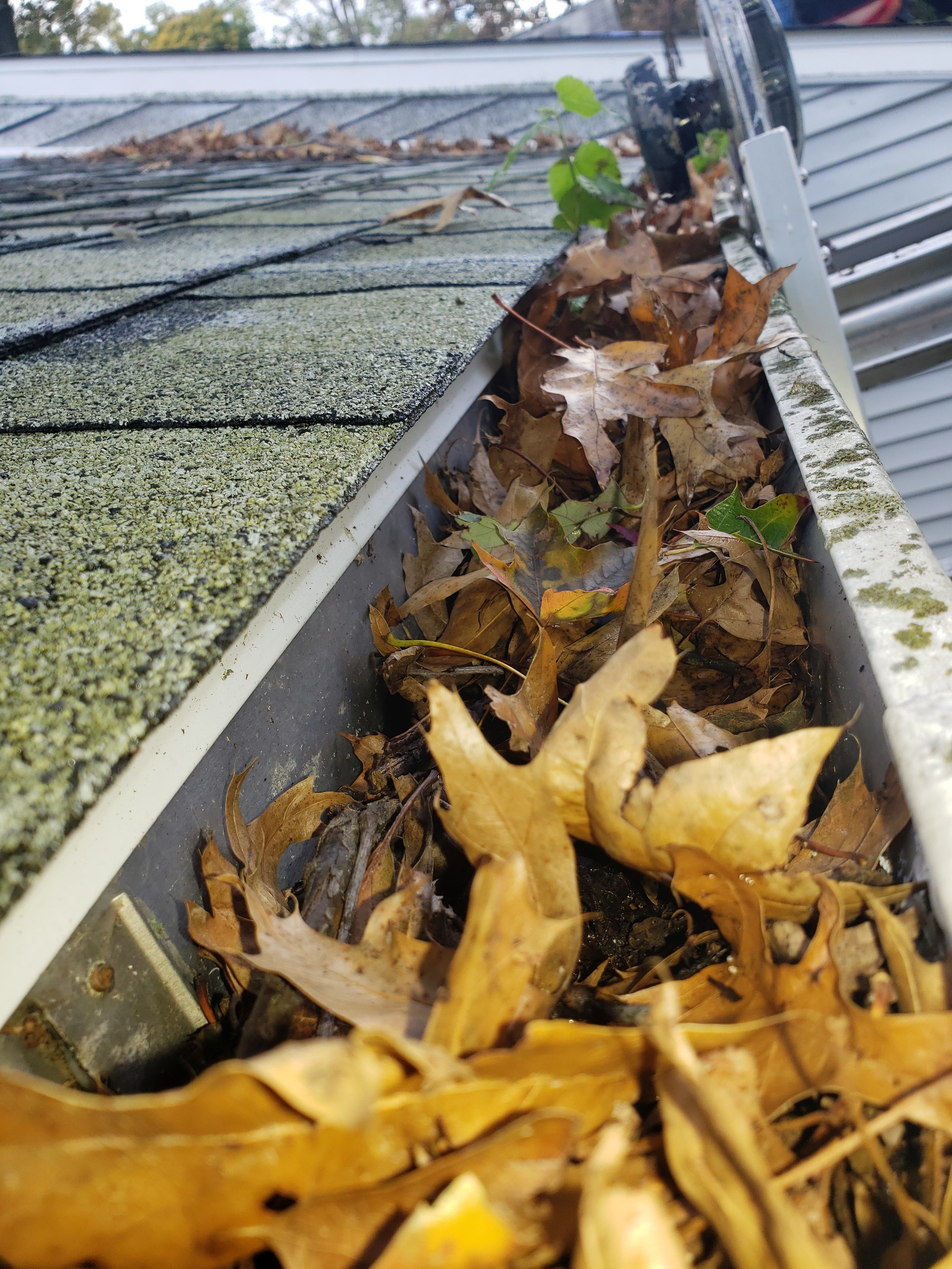 Gutters, Gutter Cleaning