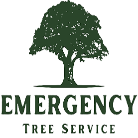 Tree Service Roswell