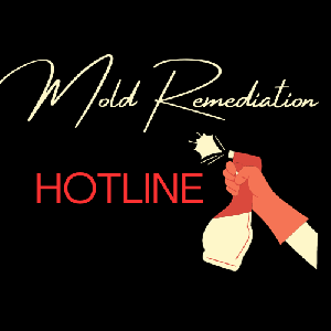 Mold Remediation Hotline Hollywood CA