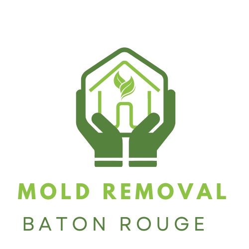 Mold Removal Baton Rouge