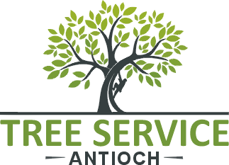 Tree Service Antioch