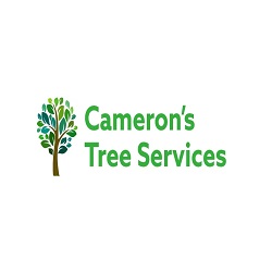 cameronstreeservices