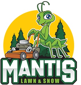 Mantis Lawn & Snow