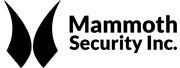 Mammoth Security Inc. Norwalk