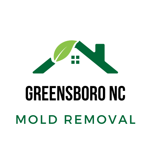 Greensboro NC Mold Removal