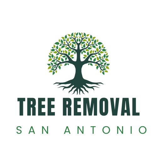 Tree Removal San Antonio