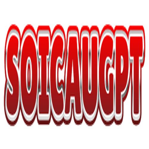 Soicaugpt com