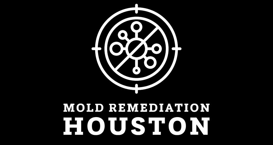 moldremediation01