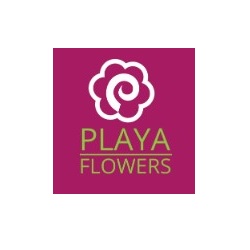 Playa Del Rey Florist