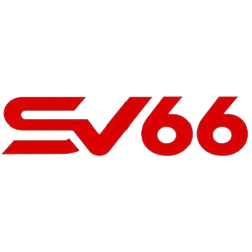 sv66voto