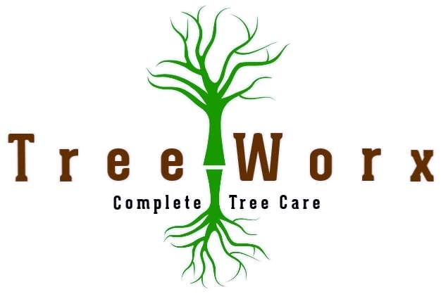 treeworxchico