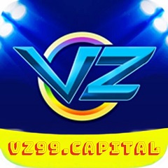 vz99capital