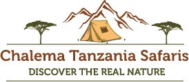 Chalema Tanzania Safaris 